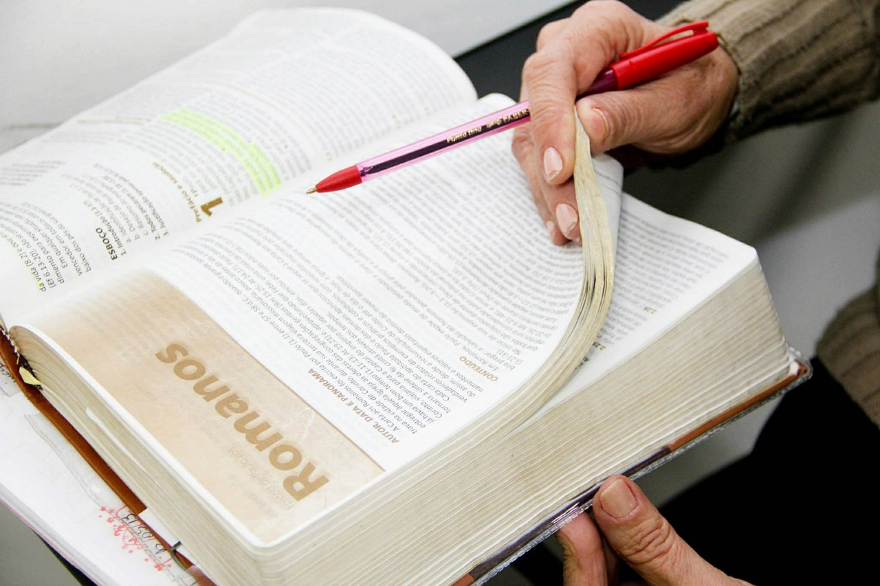 reading, bible, apostolic-434705.jpg